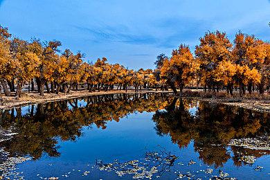《成长物语：永恒树之歌》将于2021年11月16日发售，支持PC与主机平台